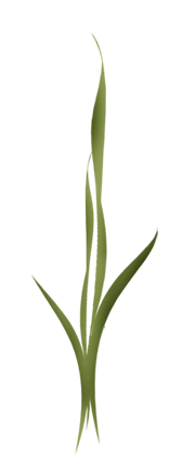 ALE_LARAH14.png