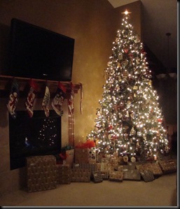 Christmas Tree 09 006