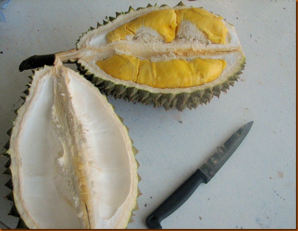 Durian 001