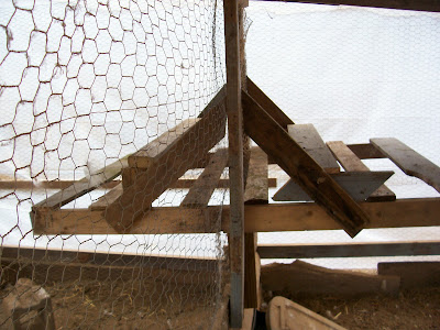 Pictures of roost 