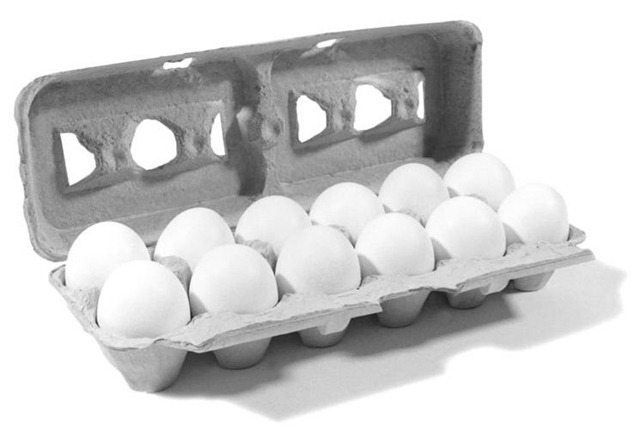 [eggs[6].jpg]