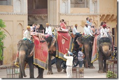 India 2010 -   Jaipur - Fuerte  Amber , 15 de septiembre   64