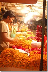 India 2010 -  Jaipur , paseo nocturno por el mercado , 15 de septiembre   38