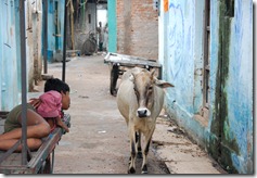 India 2010 -Kahjuraho  , 19 de septiembre   78