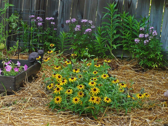 [fenceflowers[3].jpg]