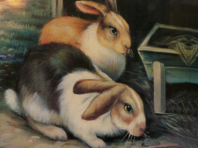[bunnies[3].jpg]