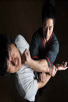 詠春拳のテクニックのおすすめ画像4