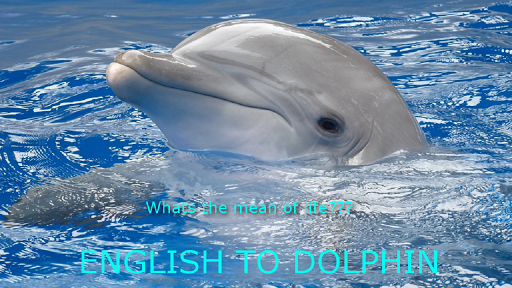 English to Dolphin Translator