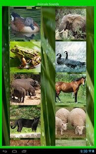 Free Animal Sounds on the App Store - iTunes - Apple