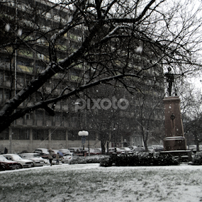 by Jovana Perovanović - Uncategorized All Uncategorized