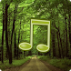 Forest Sounds Nature To Sleep icon