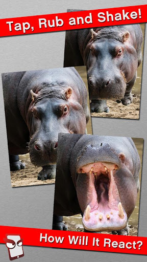 Angry Hippo Free
