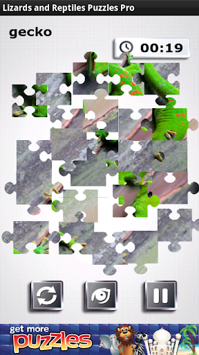 Lizards Reptiles Free Puzzle