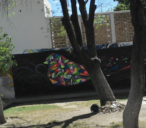 Mural Pájaro De Colores