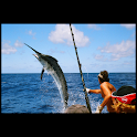 DeepSea Fishing illustrated logo