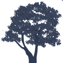 Paper Forest Live Wallpaper logo