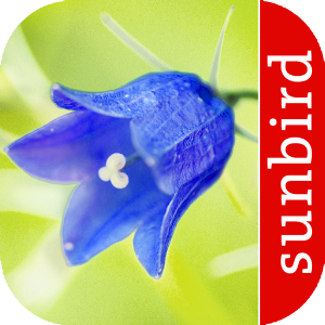 Blumen Id - Naturführer logo