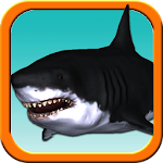 Shark Trainer - Great White Apk