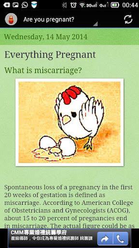 Everything Pregnant