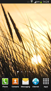 download Grass Live Wallpaper HD free