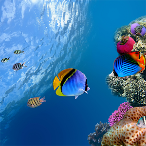 Ocean Aquarium 3D Free LWP.apk 1.7