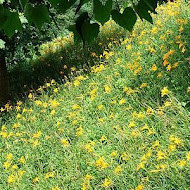 沐心泉休閒農場