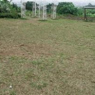 A‧maze兔子迷宮咖啡餐廳(礁溪浴場)