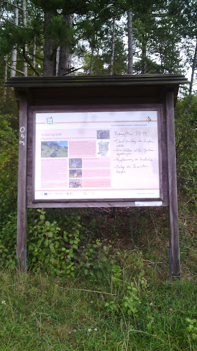 Naturschutz Gebiet Stockberg 