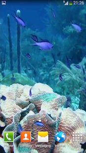 How to get Sea Life Video Wallpapers 1.1 apk for laptop