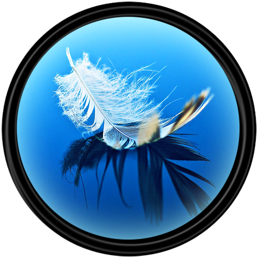 Feather [HD] Wallpapers LOGO-APP點子