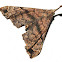 Palthis Moth