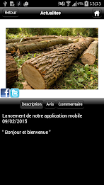 sfd firewood poster 8