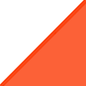 Orienteering 1.1