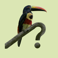 Costa Rica Birds Fieldguide APK 電影海報圖片