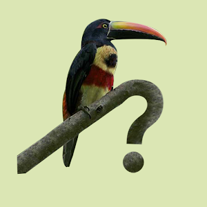 Costa Rica Birds Fieldguide logo