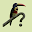 Costa Rica Birds Fieldguide Download on Windows