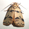 Footman moth