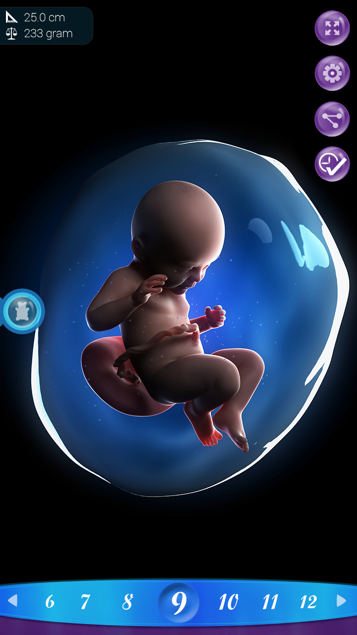 PregApp - 3D Pregnancy Tracker Screen 3