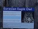 Eurasian Eagle Owl Enclosure
