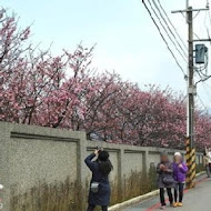 【台北陽明山】禾豐農園