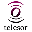 Telesor logo