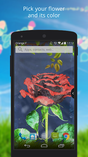 免費下載個人化APP|UR 3D Tulip Rose Live Theme app開箱文|APP開箱王