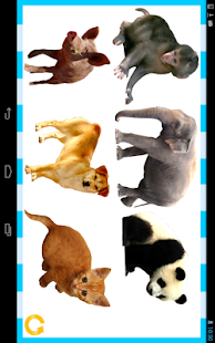 Free Peekaboo TTTouch！ (animal) APK
