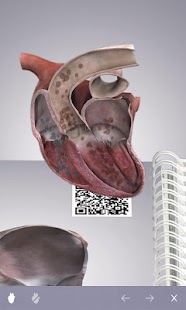 How to download Cardiology 3D small animals(1) 1.37 unlimited apk for laptop