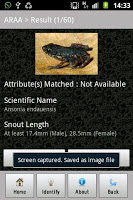 katak ID APK スクリーンショット画像 #2