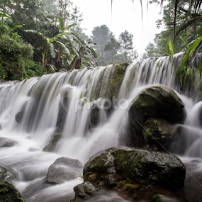 From the side by Abdul Rahman - Nature Up Close Water