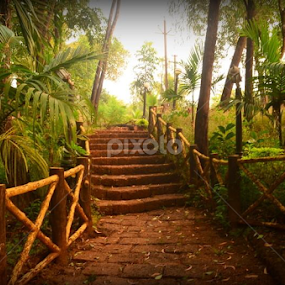 The path to success is to take massive determined action.... by Janhavi Pathak - Landscapes Forests