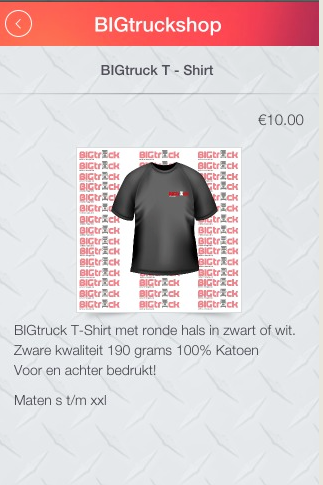BIGtruck Screen 3