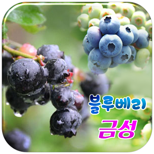 블루베리 금성 LOGO-APP點子