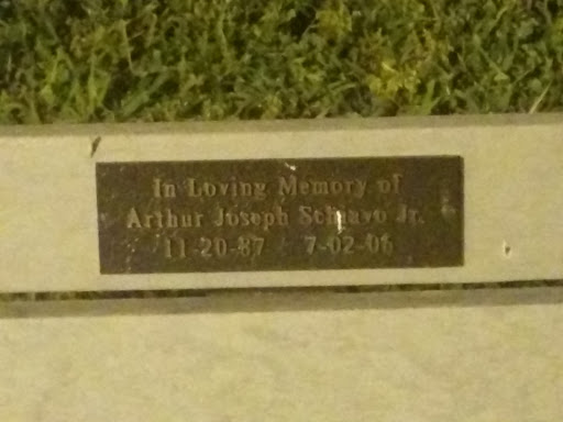 In Memory of Arthur Joseph Schiavo Jr.